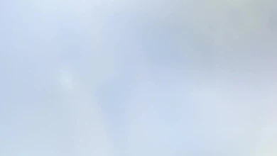 Лысый из «Brazzers» снова поймал и выебал совсем молодую чикулю